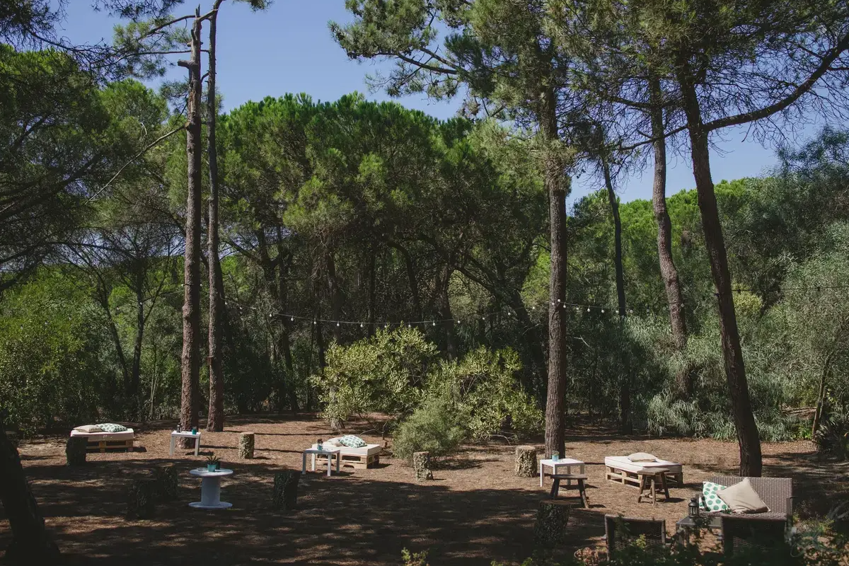 Detalhes da Quinta da Falésia